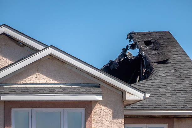 Top rated local Odor Removal specialists in Leesburg, FL